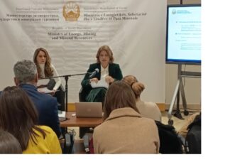 Со годишниот план за 2025-та инвестиции од околу 1,4 милијарди евра, истакна Божиновска