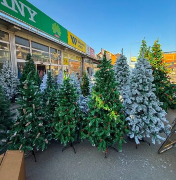 Се воспоставува ред на „Пластичарска“, се постапува и на Зимзоленд, Град Скопје не издал дозвола за вршење дејност