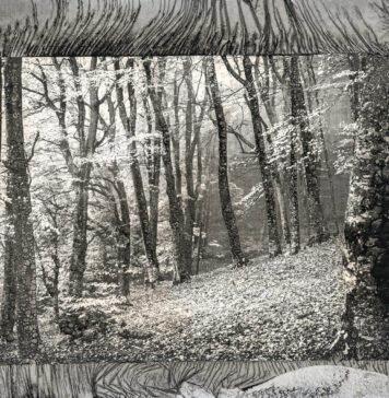 Изложба од циклусот „На Мајката земја“ – шума, во Паркот на франкофонијата во Скопје