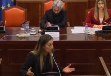 Стоиме овде за да смениме нешто во државата, бараме правда за нашите деца и за генерациите после нас, порачаа родителите на настраданите пред Анкетната комисија