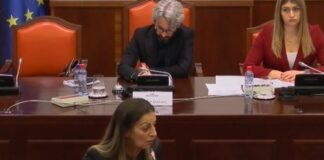 Стоиме овде за да смениме нешто во државата, бараме правда за нашите деца и за генерациите после нас, порачаа родителите на настраданите пред Анкетната комисија