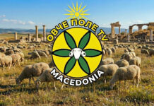 100 видеа за Свети Николе и Овче Поле