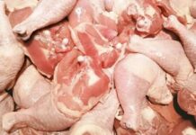 Спречен увоз на над 26 тони пилешко месо од Бразил на граничниот премин Ќафасан