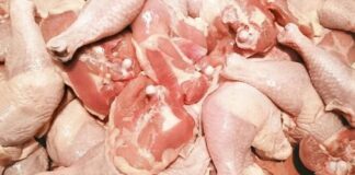 Спречен увоз на над 26 тони пилешко месо од Бразил на граничниот премин Ќафасан