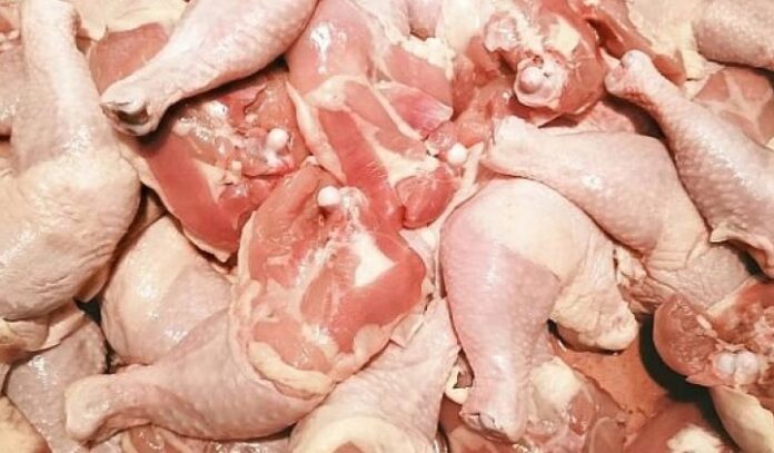 Pilesko meso zaplenea