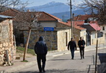 Силна поддршка за македонското малцинство во Албанија на европско ниво