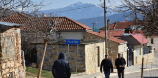 Силна поддршка за македонското малцинство во Албанија на европско ниво