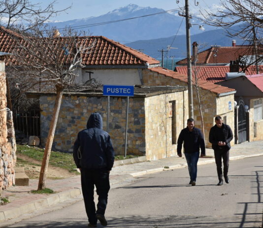 Силна поддршка за македонското малцинство во Албанија на европско ниво