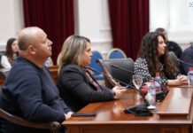 Iselenici, Forum, Vlada