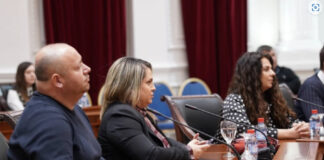 Iselenici, Forum, Vlada