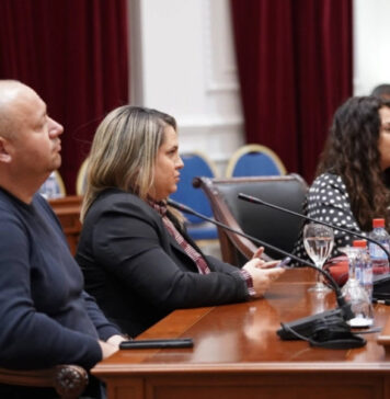 Iselenici, Forum, Vlada