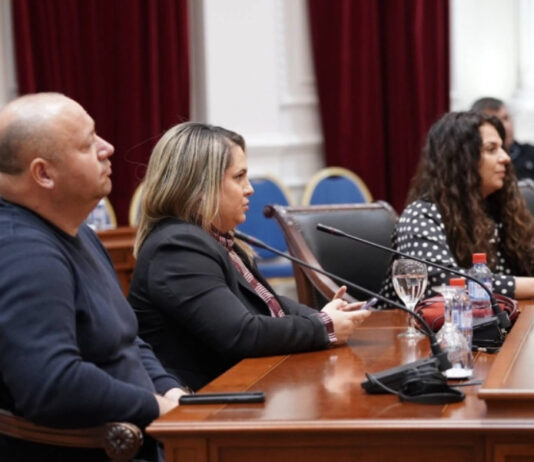 Iselenici, Forum, Vlada