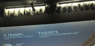 „Приказната за Силјан“ продолжува да се прикажува во кината во САД