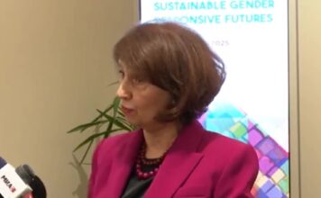 Уставот е над партиите, правобранителите не се надлежни за министрите, истакна Силјановска Давкова