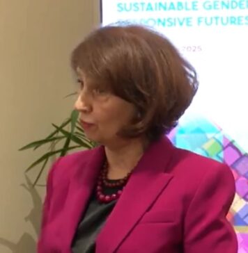 Уставот е над партиите, правобранителите не се надлежни за министрите, истакна Силјановска Давкова