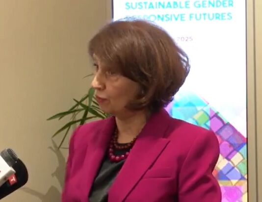 Уставот е над партиите, правобранителите не се надлежни за министрите, истакна Силјановска Давкова