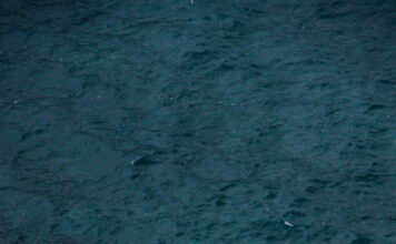 „Сам со езерото и тишината“ на Влатко Трпoвски – ФОТОГРАФИЈА НА НЕДЕЛАТА