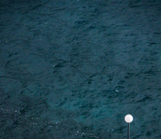 „Сам со езерото и тишината“ на Влатко Трпoвски – ФОТОГРАФИЈА НА НЕДЕЛАТА