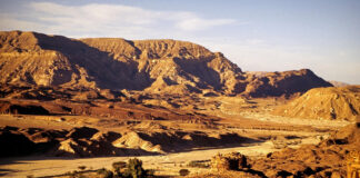 Воена тврдина стара 3.500 години откриена во Синајската Пустина