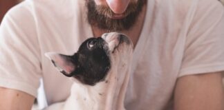 Кучињата знаат кога сме тажни