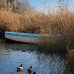 Крајбрежен шепот на Алисија Колевска – ФОТОГРАФИЈА НА НЕДЕЛАТА