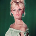 Брижит Бардо – 30 години симпатии за крајната десница