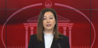 Гиновска: 1.700 инспекциски надзори за амбиентален воздух во 2025, утврдени 398 неправилности