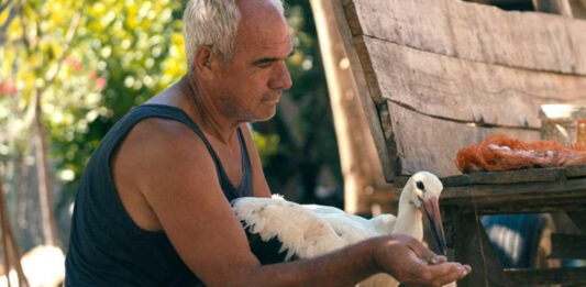 Програма што не нуди лесна забава, туку е покана за длабинско гледање