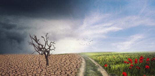 Речиси 3,8 милијарди луѓе би можеле да се соочат со екстремна топлина до 2050 година