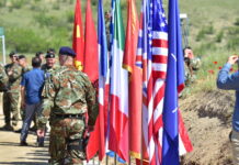 Дали ќе се ситни јатото на НАТО?