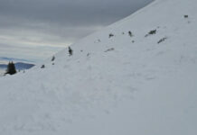 Забележано движење на снежна маса (лавина) на подрачје на НП Шар Планина – нема пријави за исчезнати луѓе