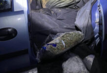 Пресечен транспорт на 150 килограми марихуана, приведени три лица