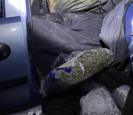 Пресечен транспорт на 150 килограми марихуана, приведени три лица