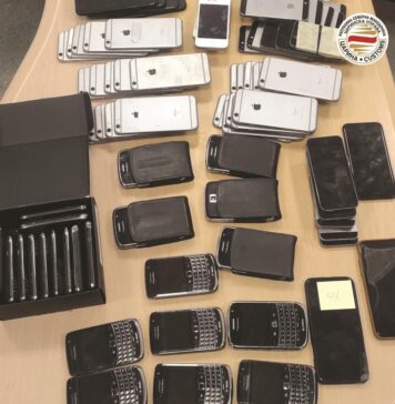 Царина спречи обиди за шверц на мобилни телефони, парфеми, над два тони храна, суплементи, тутун и живи птици