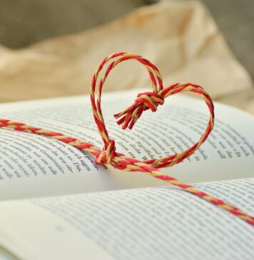 Подарокот (3)