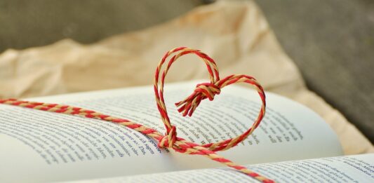 Подарокот (3)