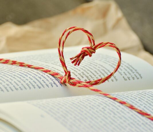 Подарокот (3)