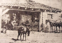 Живите патишта на Демир Хисар: Ановите како сведоци на минатото