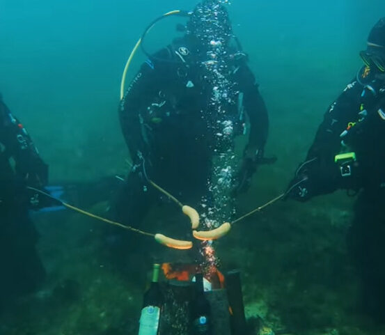 Screenshot 2026-01-13 115629