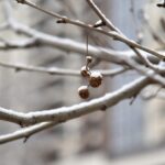 Променливо облачно време со дожд, на планините снег и заладување од недела