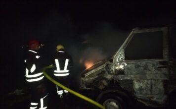 Струмичките пожарникари гаснеа запален камион и електричен столб