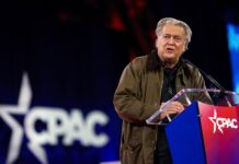 „Колец во вампирот од Брисел“?!