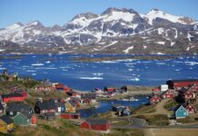 „Политико“: Постојат четири опции во планот на Европа за одбрана на Гренланд Greenland