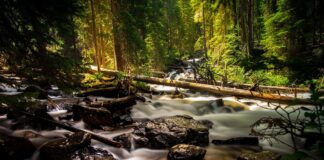 Светот е во период на глобален недостиг од вода