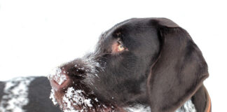 Зимските денови jа зголемуваат болката во зглобовите