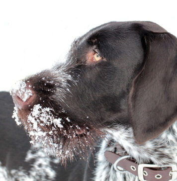 Зимските денови jа зголемуваат болката во зглобовите