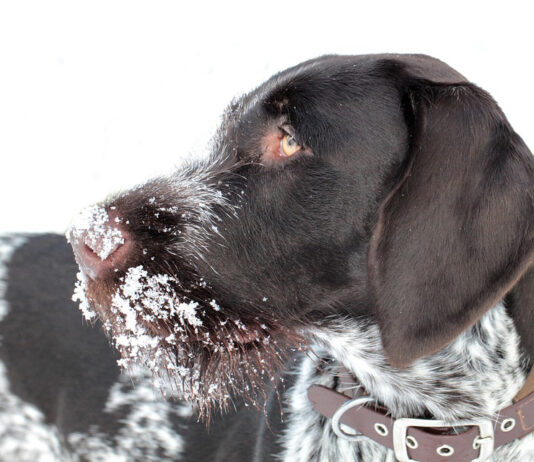 Зимските денови jа зголемуваат болката во зглобовите