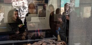 Научници од Велика Британија ја открија тајната за мирисот на египетските мумии mumija