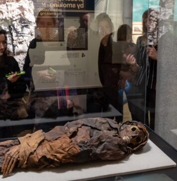 Научници од Велика Британија ја открија тајната за мирисот на египетските мумии mumija