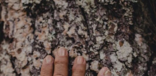 Аристотел тврдел дека вистинската љубов бара пет нешта